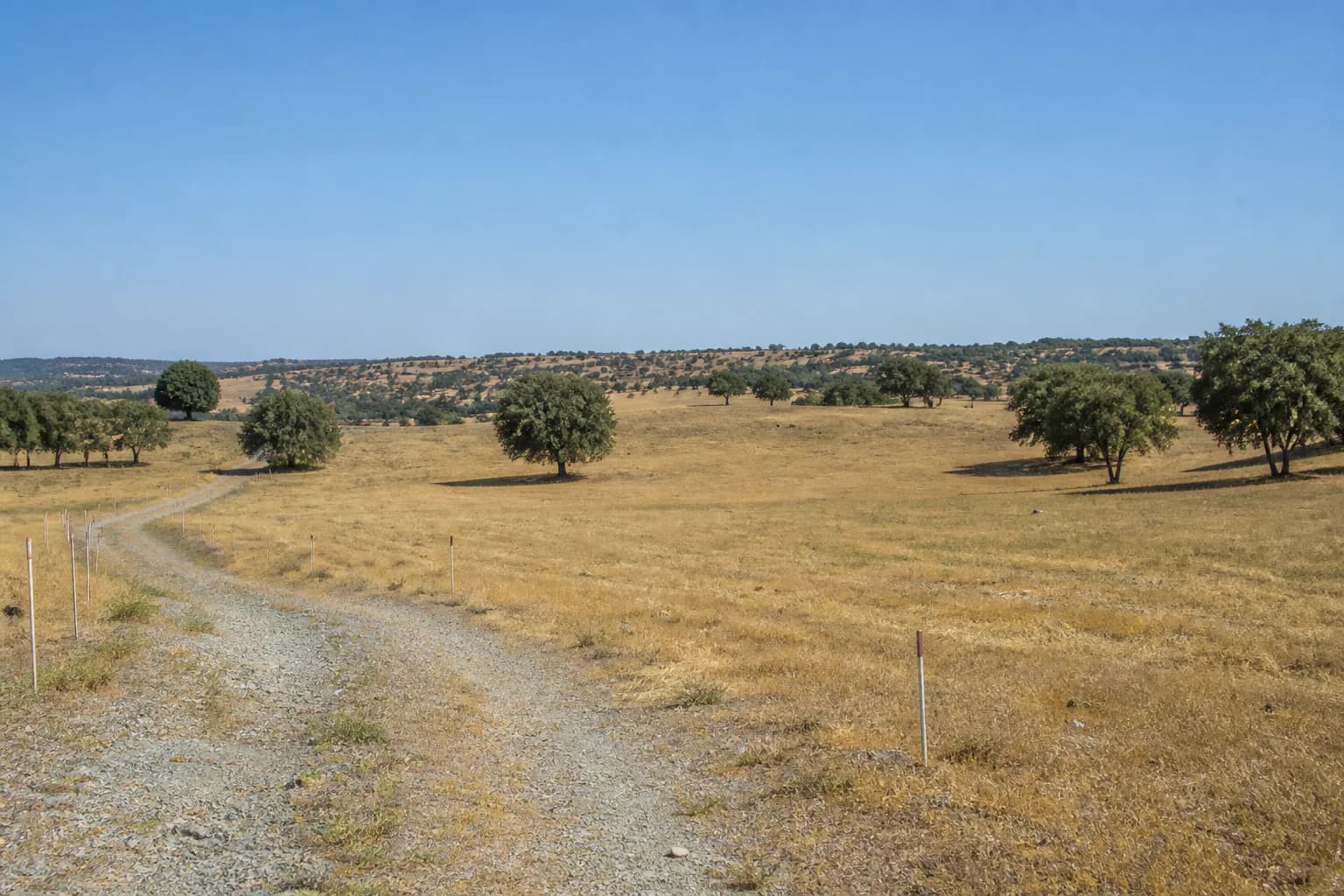 Lote demonstrativo nos arredores de Évora